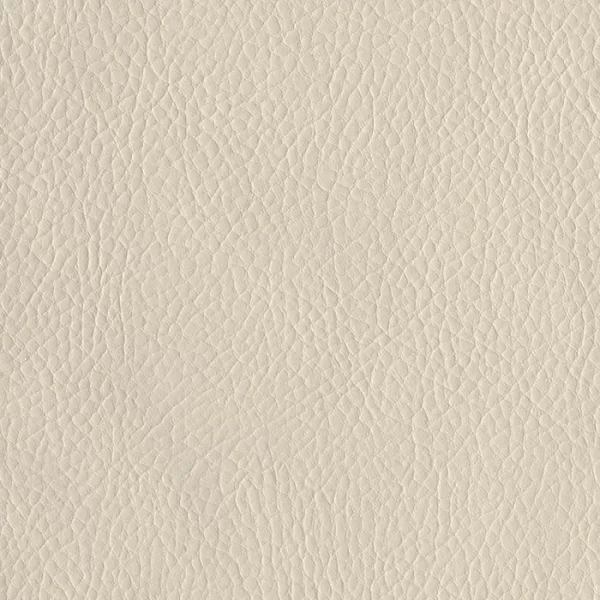 005 Ivory Artificial Leather