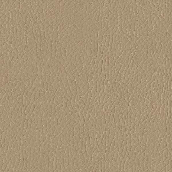 028 Beige