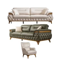 Classic Traditional Sofa Sets CT