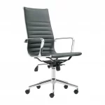 Eva Executive Office Chair Modern 2