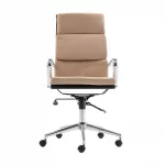 Eva Omega Executive Office Chair