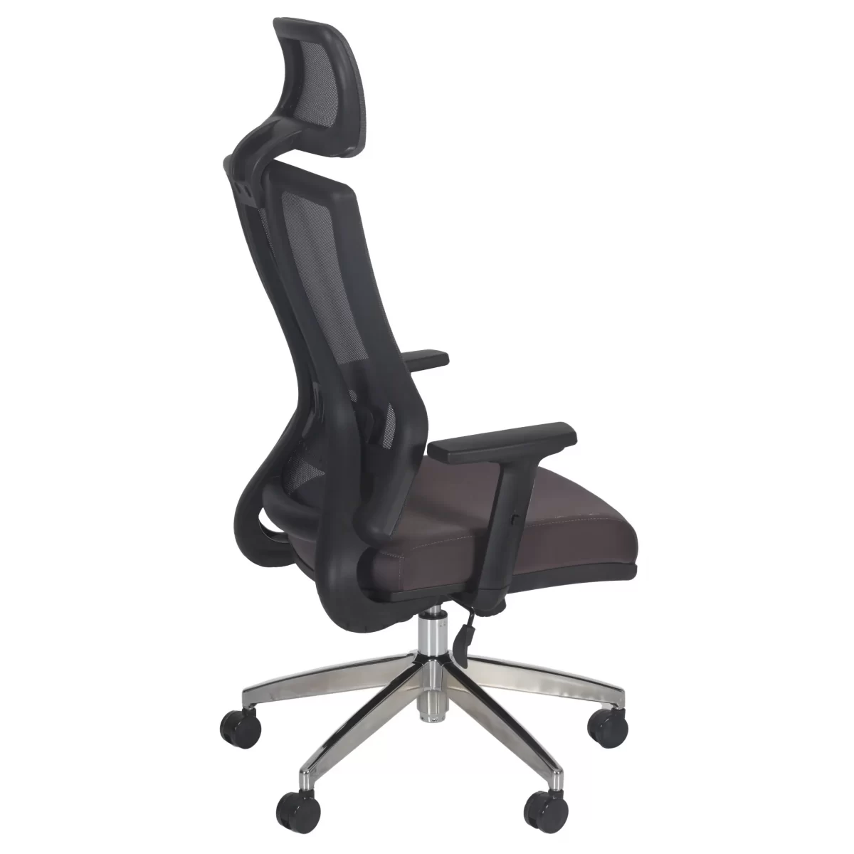 Lyna Executive Office Chair With Neck Support