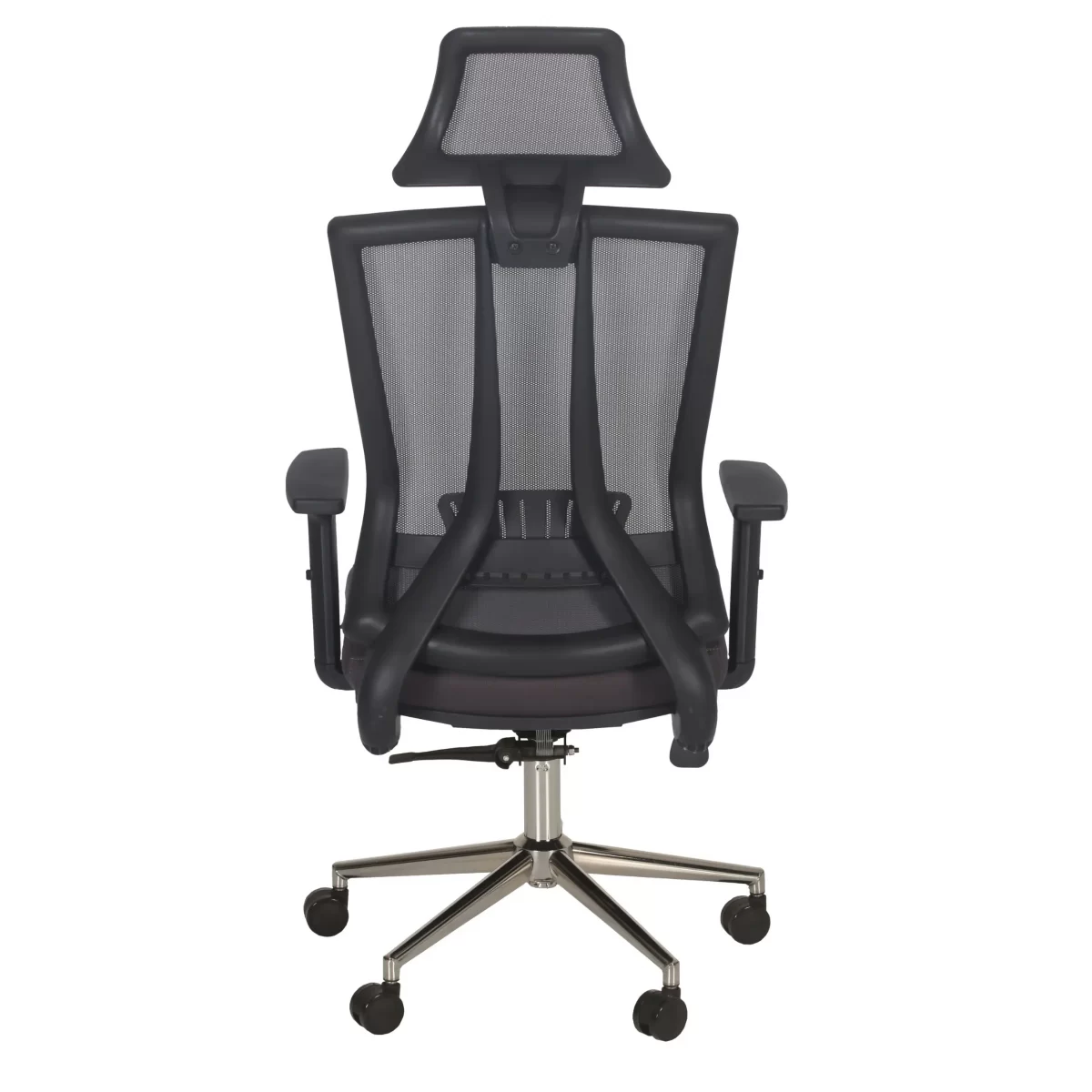 Lyna Executive Office Chair With Neck Support 2