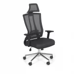 Lyna Executive Office Chair With Neck Support 3