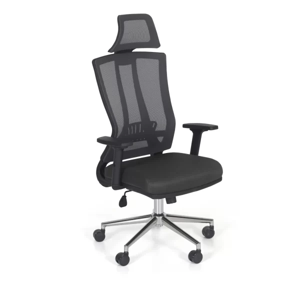Lyna Executive Office Chair With Neck Support 3
