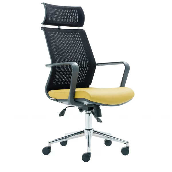 Visha Ch Executive Office Chair Chrome Legs