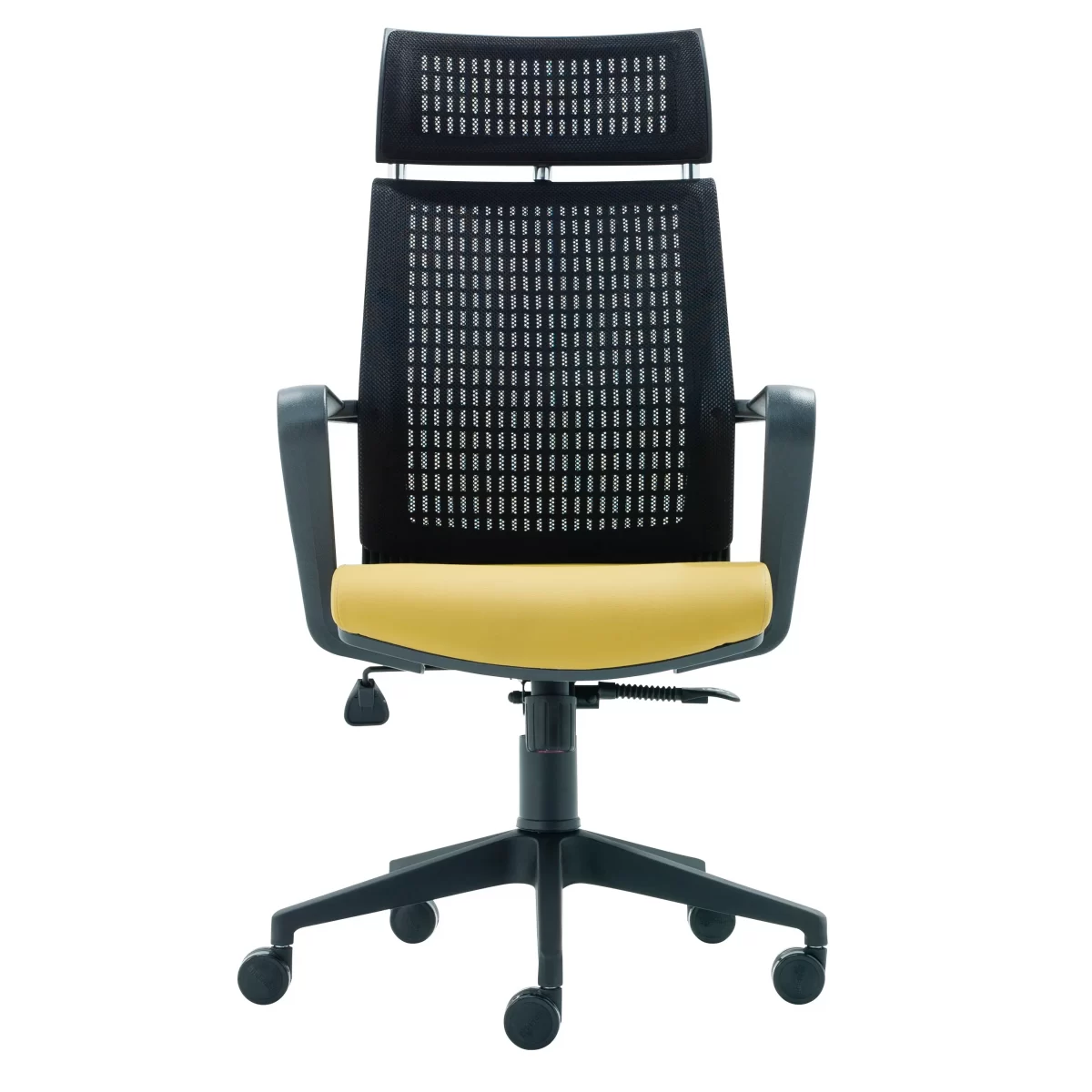 Visha Pl Executive Office Chair Plastic Legs 2 scaled