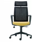 Visha Pl Executive Office Chair Plastic Legs 2