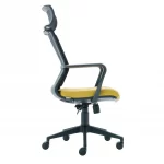 Visha Pl Executive Office Chair Plastic Legs 4