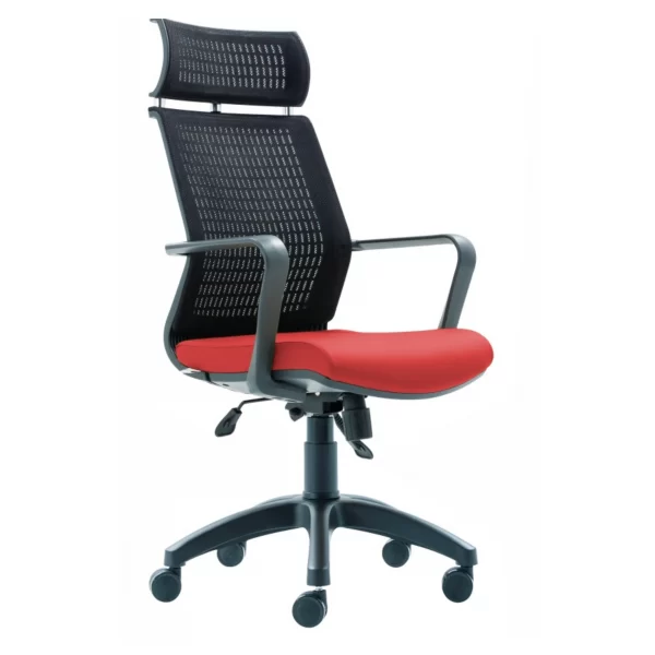 Visha Pl Executive Office Chair Plastic Legs