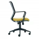 Visha Pl Manager Office Chair Plastic Legs 4